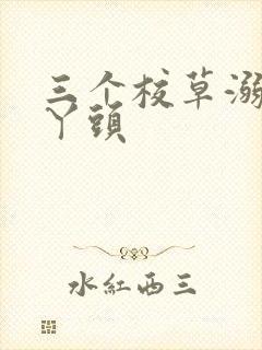三个校草溺爱拽丫头