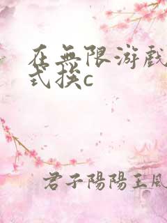 在无限游戏里花式挨c