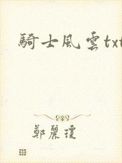 骑士风云txt