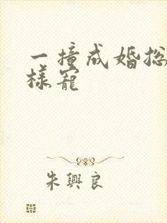 一撞成婚总裁花样宠