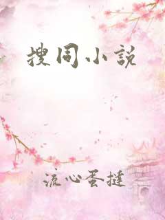搜同小说