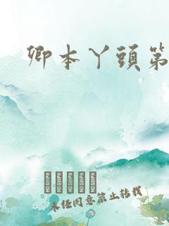 卿本丫头第二部