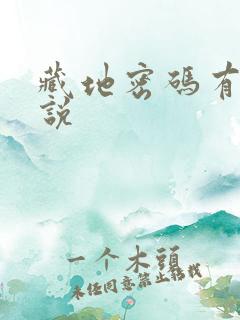 藏地密码有声小说