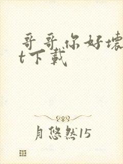 哥哥你好坏txt下载