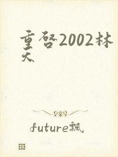 重启2002林天