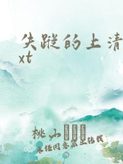 失踪的上清寺txt