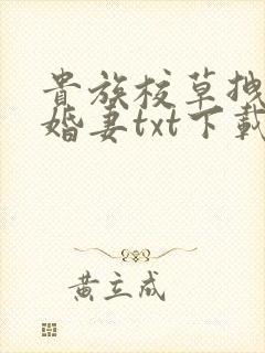 贵族校草拽拽未婚妻txt下载