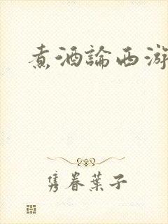 煮酒论西游