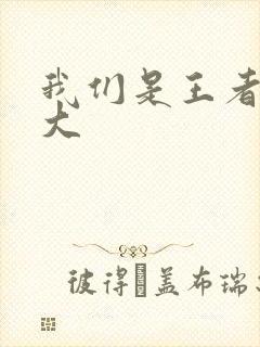 我们是王者立海大