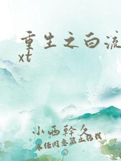 重生之白流苏txt