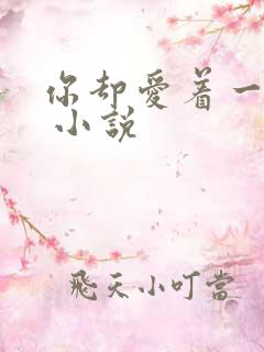 你却爱着一个他 小说