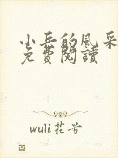 小兵的风采小说免费阅读