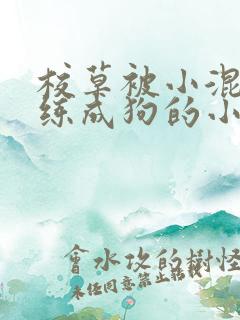 校草被小混混训练成狗的小说