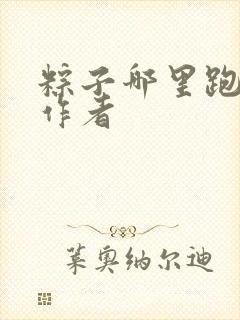 粽子哪里跑小说作者