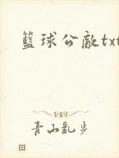 篮球公敌txt