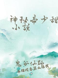 神秘帝少甜宠妻 小说