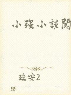 小强小说阅读网