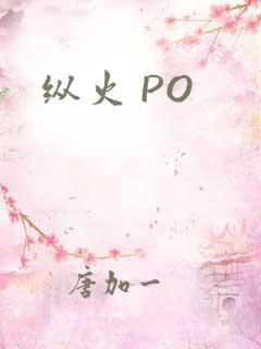 纵火 PO