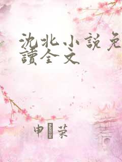 沈北小说免费阅读全文