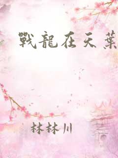 战龙在天叶凡