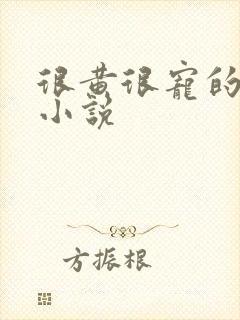 很黄很宠的总裁小说