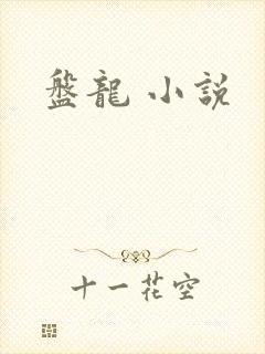 盘龙 小说