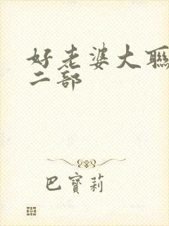 好老婆大联盟第二部
