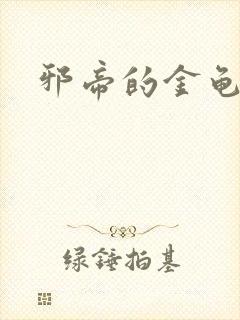 邪帝的金龟小宠