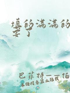 填的满满的 不要了