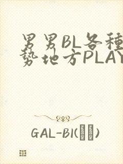 男男BL各种姿势地方PLAY文