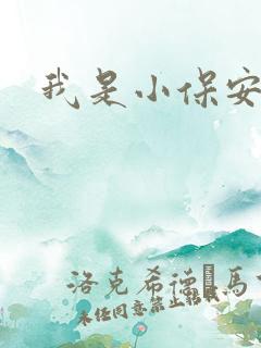 我是小保安