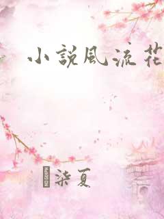 小说风流花少