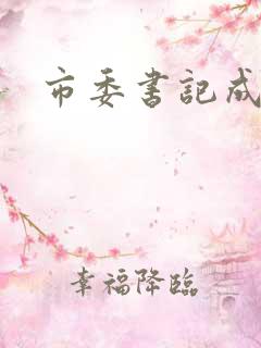 市委书记成长记
