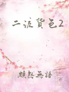 二流货色2