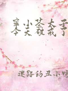 宁小茶太子殿下今天破戒了吗免费阅读