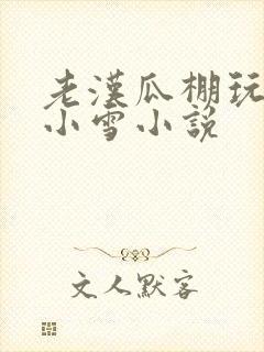 老汉瓜棚玩小丹小雪小说