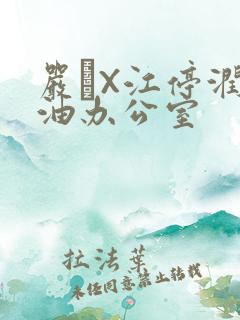 严峫X江停润滑油办公室