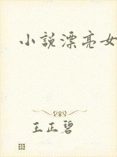 小说漂亮女局长