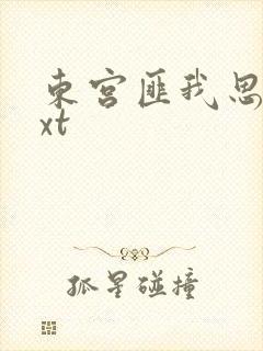 东宫匪我思存txt