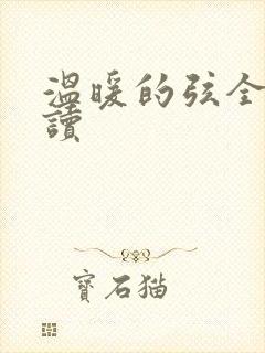 温暖的弦全文阅读