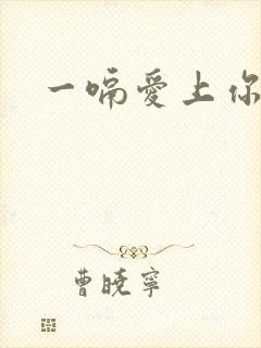 一嗝爱上你