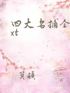 四大名捕全集txt