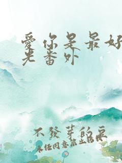 爱你是最好的时光番外