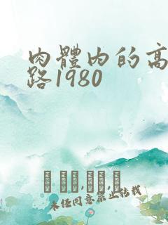 肉体内的高速公路1980