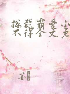 总裁霸爱小妻惹不得全文免费阅读笔趣阁