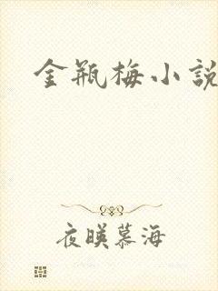 金瓶梅小说下载