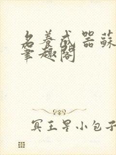 名养成器苏沫沫笔趣阁