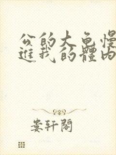 公的大龟慢慢挺进我的体内小说