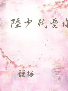 陆少 我爱你
