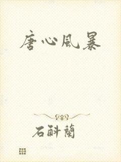 唐心风暴